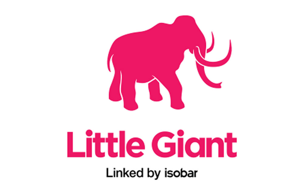 Little Giant
